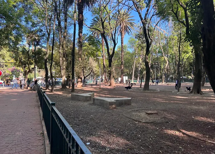 Apartment Condesa Amsterdam 104 Lovely 1bed 1 Bath On Amsterdam Av Mexico City