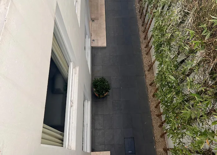 Apartment Condesa Amsterdam 104 Lovely 1bed 1 Bath On Amsterdam Av Mexico City