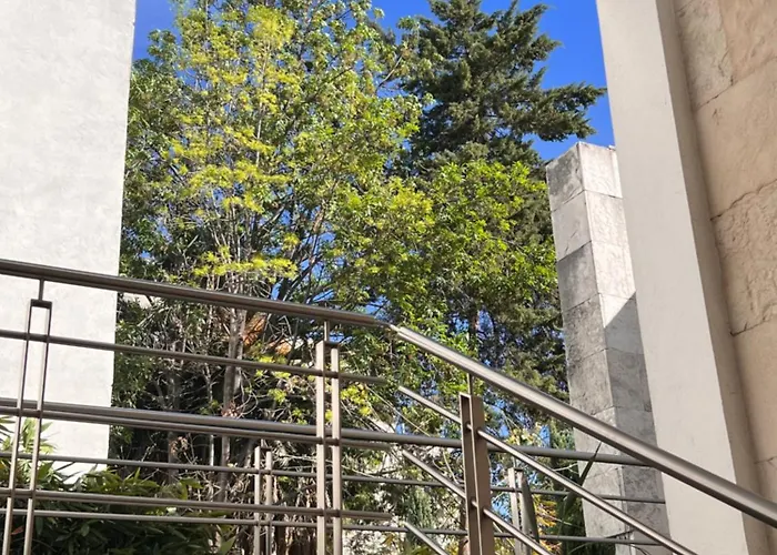 Condesa Amsterdam 104 Lovely 1bed 1 Bath On Amsterdam Av Apartment Mexico City