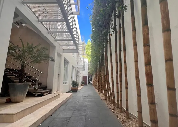 Condesa Amsterdam 104 Lovely 1bed 1 Bath On Amsterdam Av Apartment Mexico City